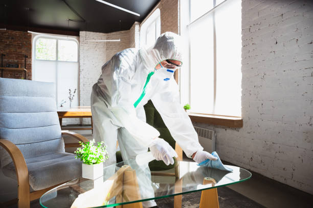 Professional Mold Removal in Castle Rock, WA